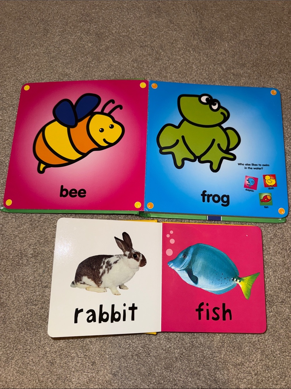 Animal Books - Picture 3 of 7